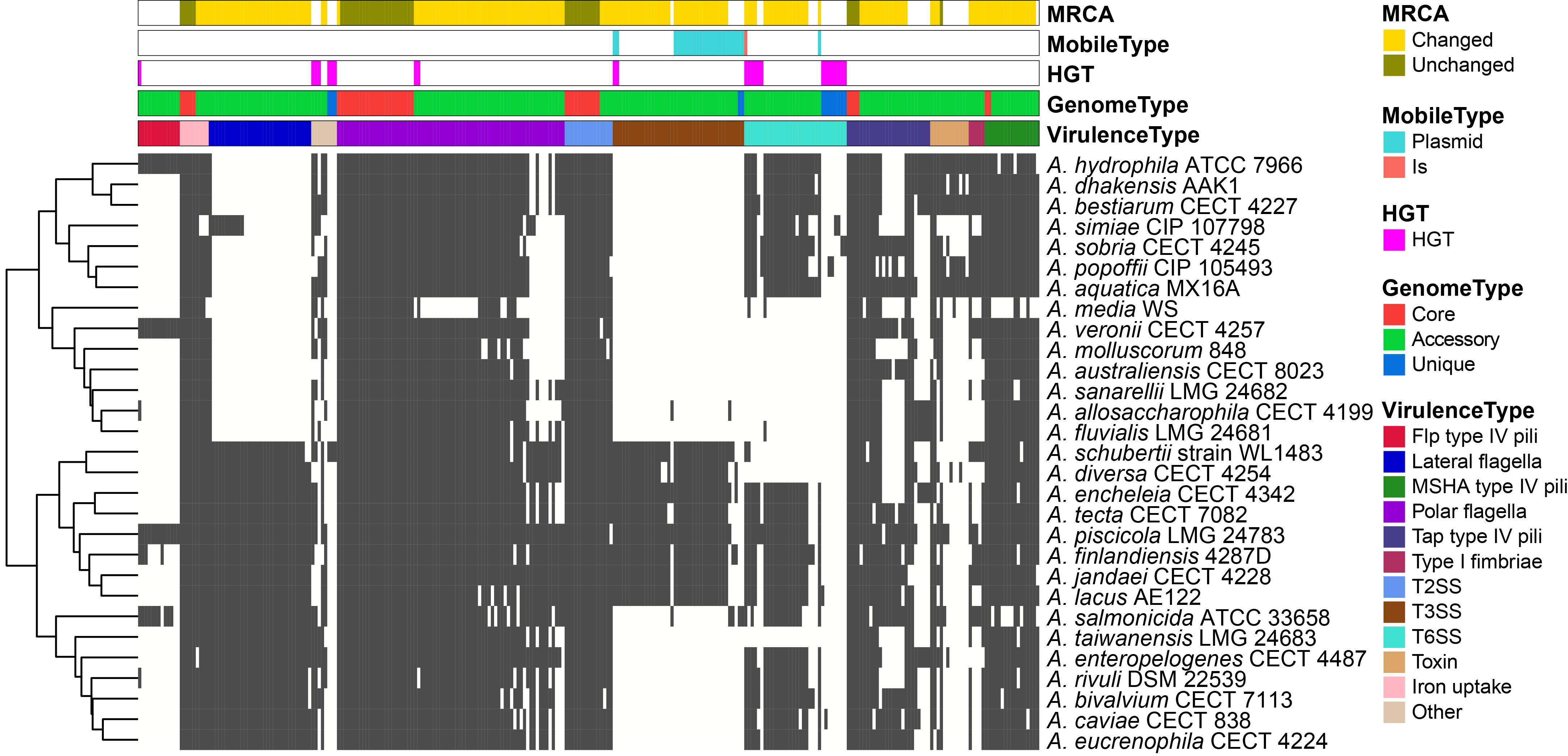 Responsive image